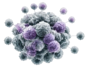 A tumour regrowing as a cluster of cells
