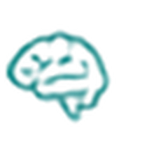 Brain